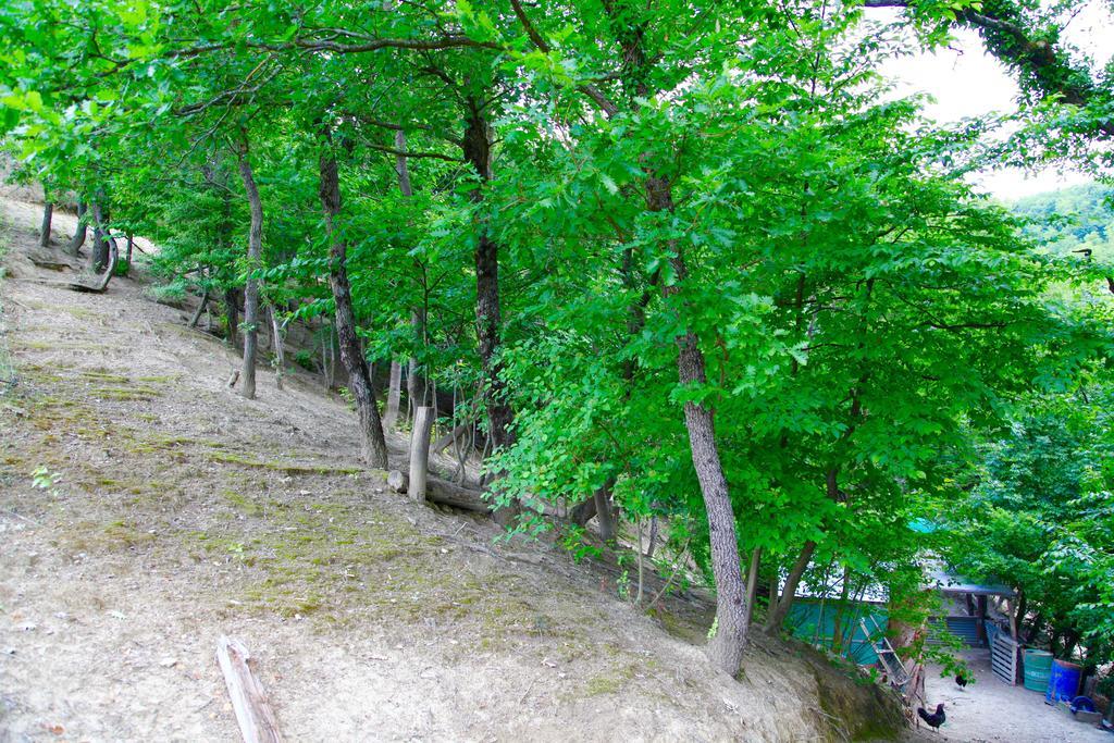 Agriturismo Biologico Villa Rosa Monte Guiduccio Kültér fotó