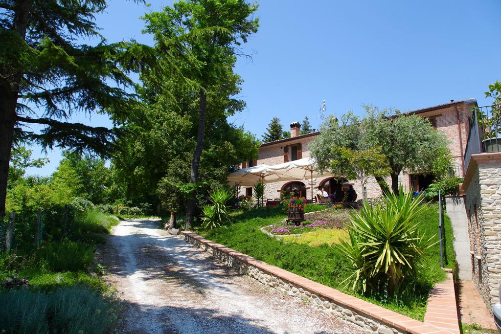 Agriturismo Biologico Villa Rosa Monte Guiduccio Kültér fotó