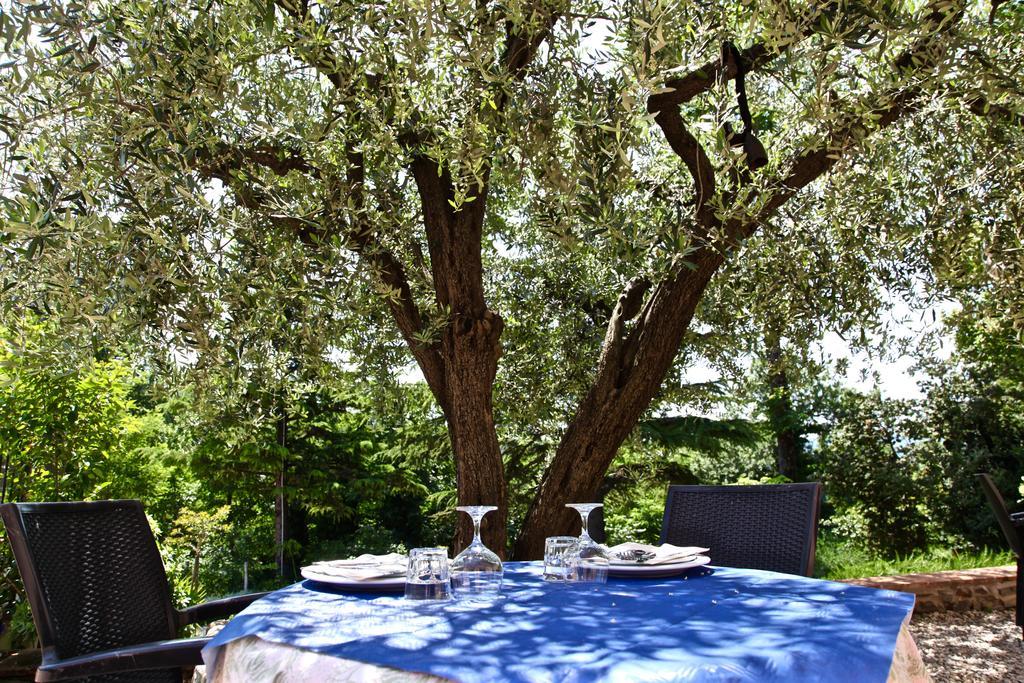 Agriturismo Biologico Villa Rosa Monte Guiduccio Kültér fotó