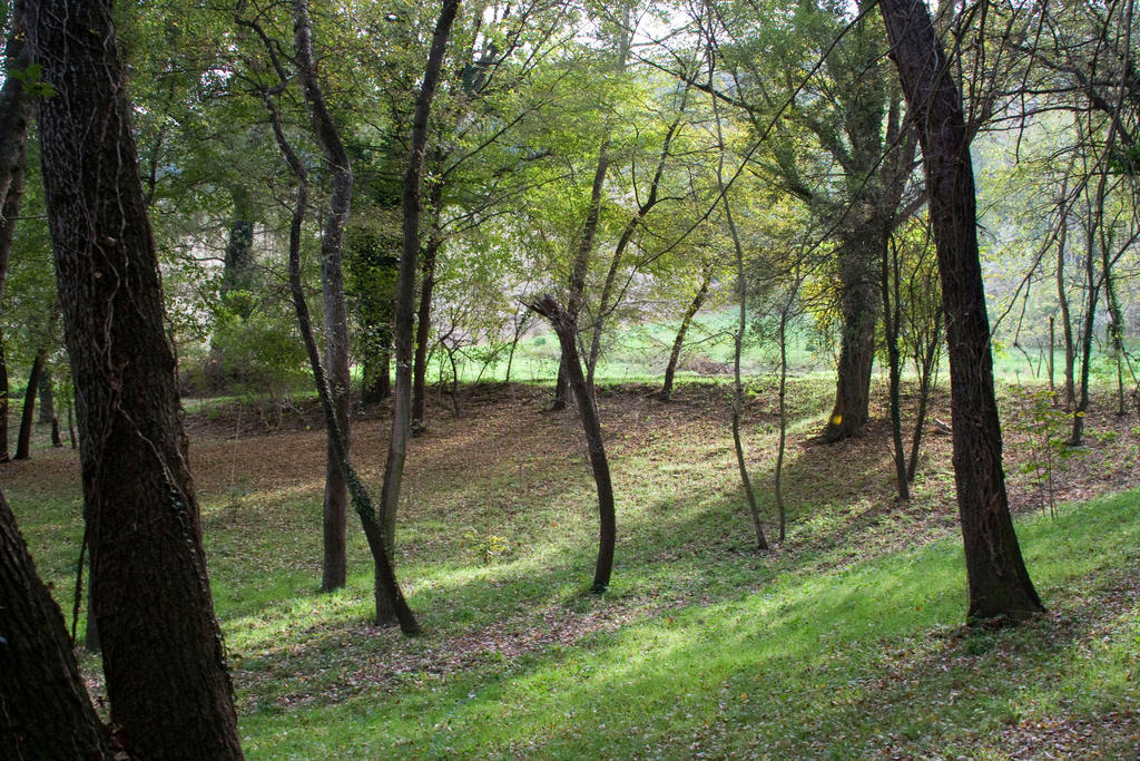 Agriturismo Biologico Villa Rosa Monte Guiduccio Kültér fotó