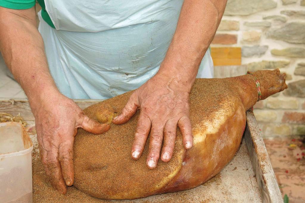 Agriturismo Biologico Villa Rosa Monte Guiduccio Kültér fotó